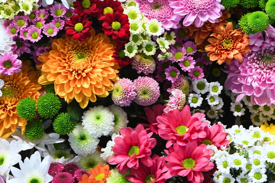 Blumenstrauss Blumenstrauss